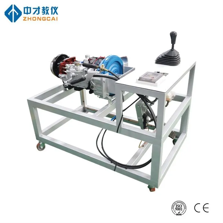 Manuell overføring Anatomy Display Platform